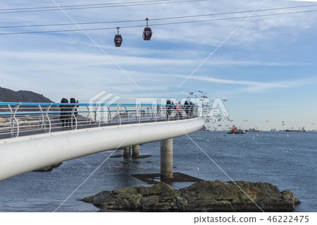 Turtle Island, Skywalk, Cable Car, Songdo Beach, Seo-gu, Busan Turtle Island, Skywalk, Cable Car, Songdo Beach, Seo-gu, Busan 46222475
