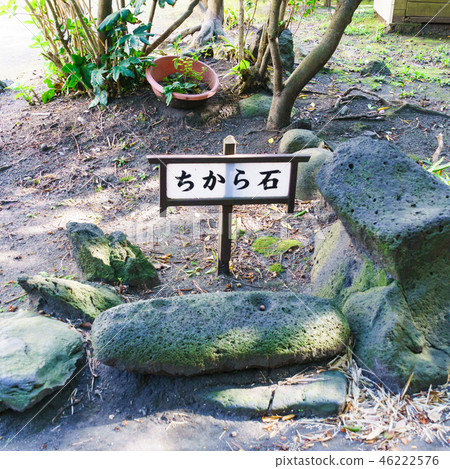 [Tokyo] Museum of Izu Oshima 46222576