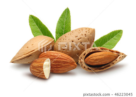 Almonds with leaves 46223045