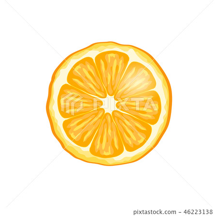 Orange Fruit Slice Closeup Vector Illustration 46223138