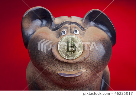 Piggy bank with coin of crypto currency bitcoin Piggy bank with coin of crypto currency bitcoin 46225017