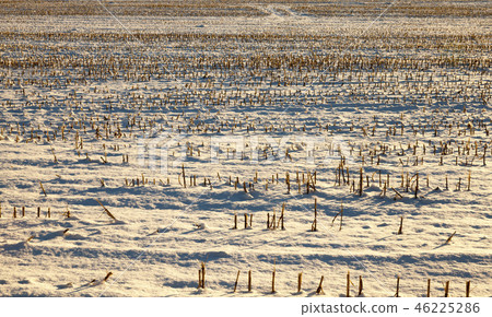 Winter season. Photo Winter season. Photo 46225286