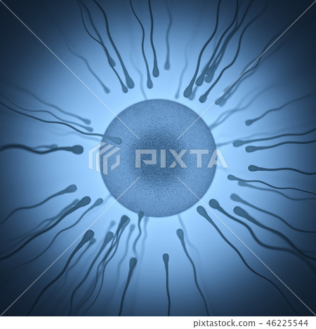 Sperm Meets Egg Sperm Meets Egg 46225544