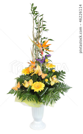 gerbera flowers and pale yellow orchid 46226114
