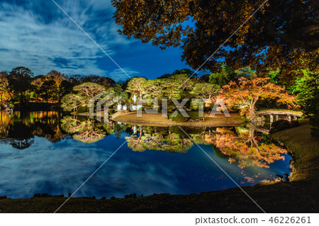 秋葉和點燃大名花園2018年 46226261