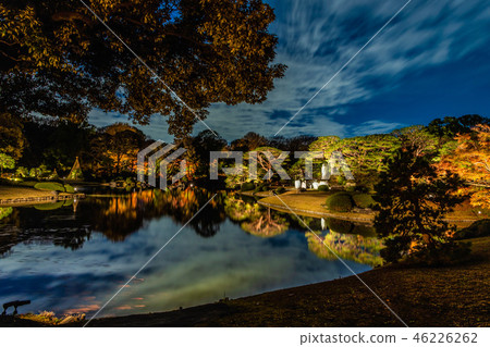 秋葉和點燃大名花園2018年 46226262