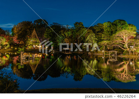 秋葉和點燃大名花園2018年 46226264