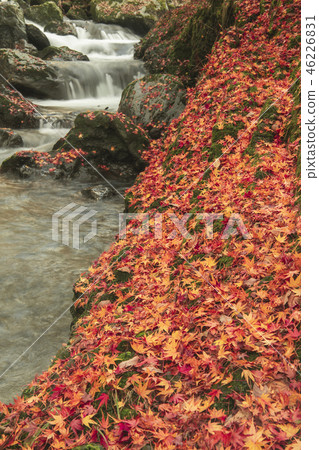 Kaneyama Waterfall Fall Autumn leaves Waterfall 46226831