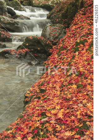 Kaneyama Waterfall Fall Autumn leaves Waterfall Kaneyama Waterfall Fall Autumn leaves Waterfall 46226835