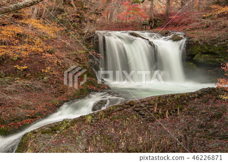 Kaneyama瀑布秋天秋葉瀑布 Kaneyama瀑布秋天秋葉瀑布 46226871