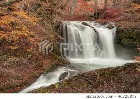 Kaneyama瀑布秋天秋葉瀑布 46226872