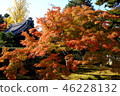 The body of the autumn leaves 46228132