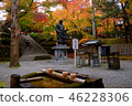 Now in autumn Kumano Kanonji 46228306