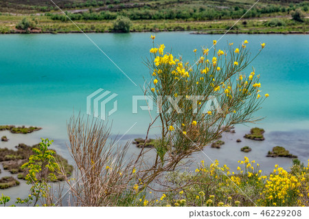 Spring landscape Butrint National Park, Albania Spring landscape Butrint National Park, Albania 46229208