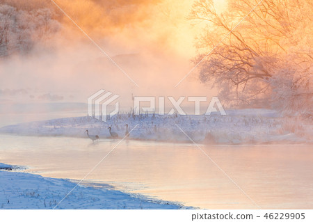 希望在起重機染色的年份的新年卡 46229905