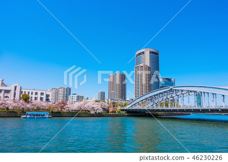 大阪美化公園和Yonbashi 46230226