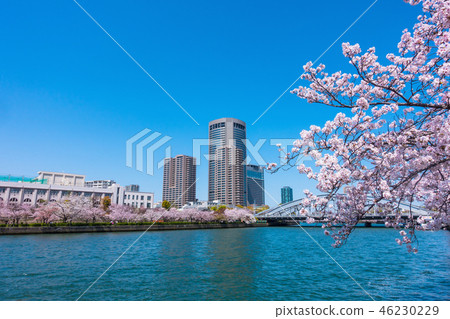 Osaka Amenity Park and Sakura 46230229