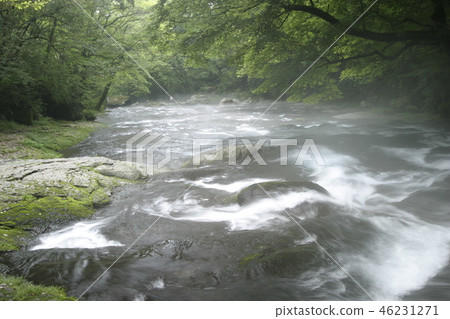 Kikuchi Valley Hirokawara和霧 46231271