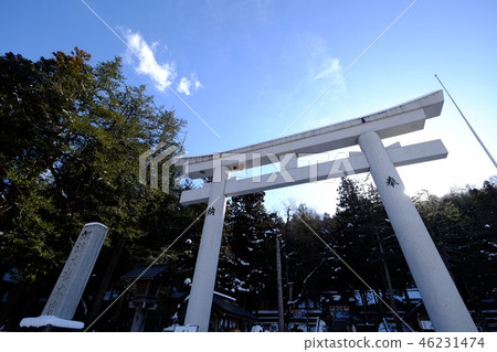 Suwa Taisha Kamijaji Torii (North Sando) 46231474