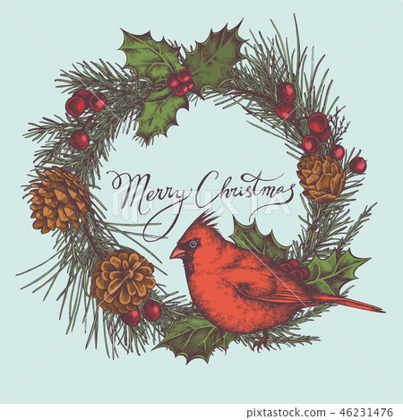 Vector composition with colored cardinal, cones, holly, rowan, lettering, pine branch, spruce Vector composition with colored cardinal, cones, holly, rowan, lettering, pine branch, spruce 46231476