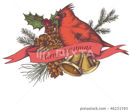 Vector composition with colored bells, cardinal, cones, holly, pine branch, spruce 46231593