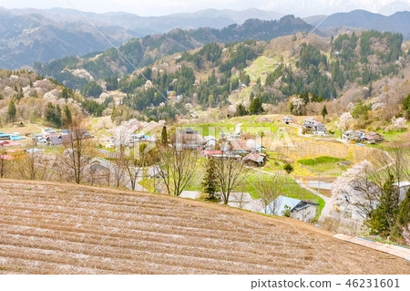 Spring Shinshu Ogawa Spring Shinshu Ogawa 46231601