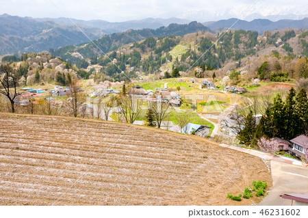 Spring Shinshu Ogawa Spring Shinshu Ogawa 46231602