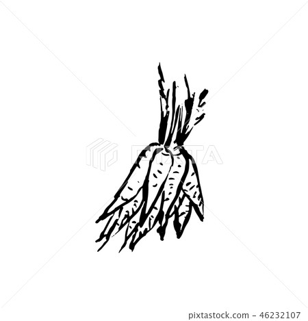 Bunch of carrots. Grunge icon. Vector illustration. Bunch of carrots. Grunge icon. Vector illustration. 46232107