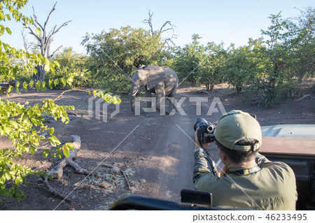 Africa tour 46233495