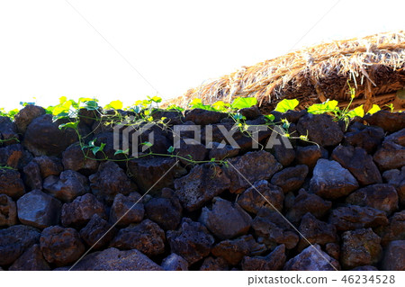 It is the ruins of Noksan-dong in Jeju 4.3. 46234528