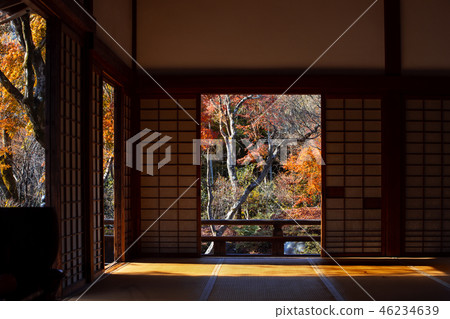 Autumn leaves of Takara Hospital Autumn leaves of Takara Hospital 46234639