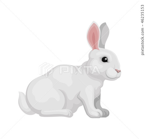 Lovely rabbit sitting isolated on white background, side view. Animal with white fur, long ears and 46235153