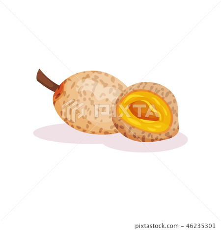 Detailed flat vector design of tropical apricots. Fresh and sweet exotic fruit. Natural product Detailed flat vector design of tropical apricots. Fresh and sweet exotic fruit. Natural product 46235301