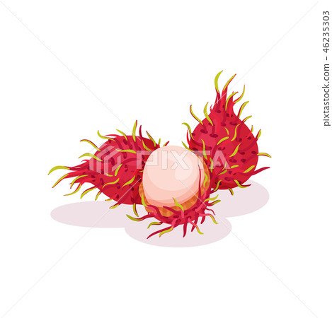 Two whole and one half-peeled rambutan. Exotic fruit. Natural and healthy food. Detailed flat vector Two whole and one half-peeled rambutan. Exotic fruit. Natural and healthy food. Detailed flat vector 46235303