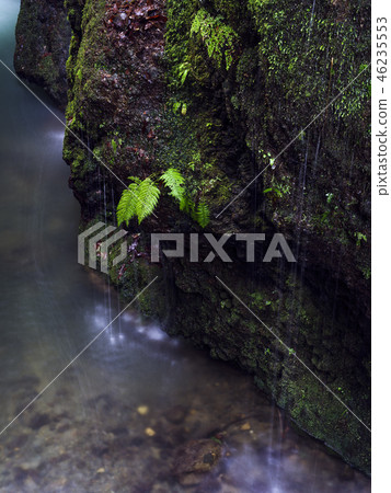 Iwatsuki(富山縣)Iwamuro Falls Iwatsuki(富山縣)Iwamuro Falls 46235553