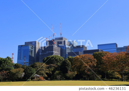 皇宮和丸之內 46236131