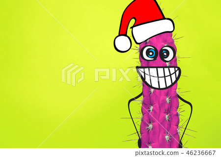 Cactus hipster man with santa hat. Tropical Christmas concept. Minimal fun art Cactus hipster man with santa hat. Tropical Christmas concept. Minimal fun art 46236667