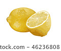 Lemon 03 46236808