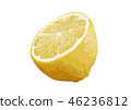 Lemon 05 46236812