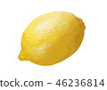 Lemon 06 46236814