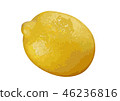 Lemon 07 46236816