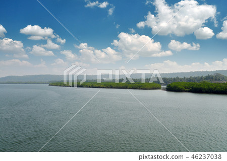 Tropical landscape with palm tree 46237038