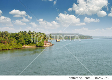 Tropical landscape with palm tree 46237039