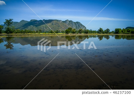 Beautiful Rice fBeautields of green with mountain Beautiful Rice fBeautields of green with mountain 46237100