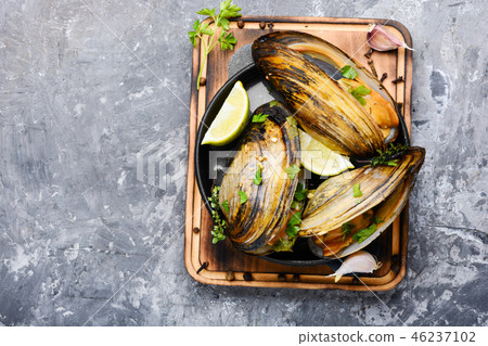 Delicious seafood mussels 46237102