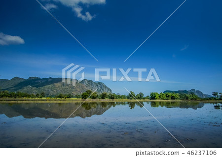 Beautiful Rice fBeautields of green with mountain  46237106