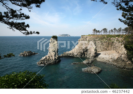 濟州島的視圖 濟州島的視圖 46237442