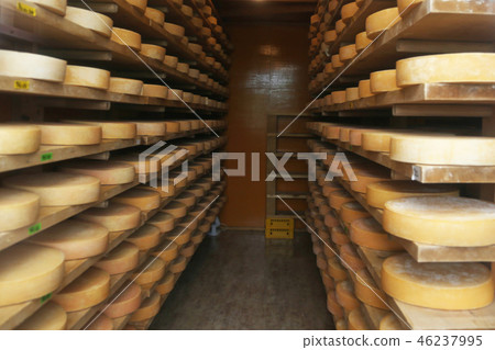 Cheese ripening warehouse Cheese ripening warehouse 46237995