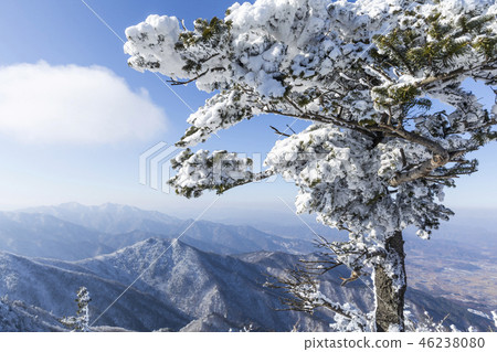 Snow, Deogyusan, Muju-gun, Jeonbuk Snow, Deogyusan, Muju-gun, Jeonbuk 46238080