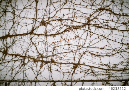 I was on the wall 46238212